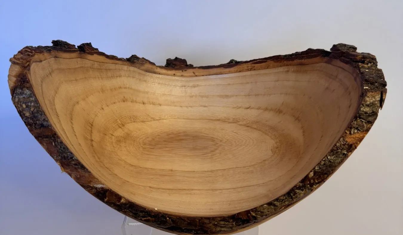 Natural Edge Maple Bowl — Craggy Winged Bark Rim