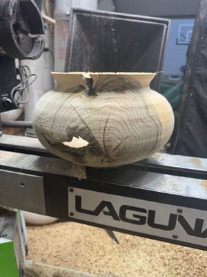 Unveiling the Mystery Wood: A Woodturner's Journey with a Hollow Form